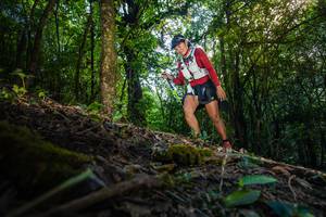 BIB: 
                            <button type="button" onclick="openModal(16010106)" class="btn btn-primary btn-sm float-right btn-popup" data-toggle="modal" data-target=".modal-high-quality">
                        <i class="fas fa-shopping-cart"></i> Add to Cart
                    </button>
                                            <button type="button" onclick="isThisMe(16010106, true)" class="btn btn-success btn-sm float-right btn-popup btn-isme hidden" data-toggle="tooltip" data-placement="bottom" title="นี่คือรูปของคุณใช่ไหม คลิกที่นี่เพื่อเอาเข้าอัลบั้ม">
                        <i class="fas fa-plus"></i> Add to album
                    </button>
                    <button type="button" onclick="isThisMe(16010106, false)" class="btn btn-warning btn-sm float-right btn-popup btn-isnotme hidden">
                        <i class="fas fa-ban"></i> Remove from album
                    </button>